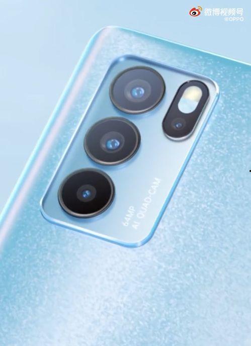 玉圭园最新爆料视频下载,探秘神秘古园的奇幻之旅